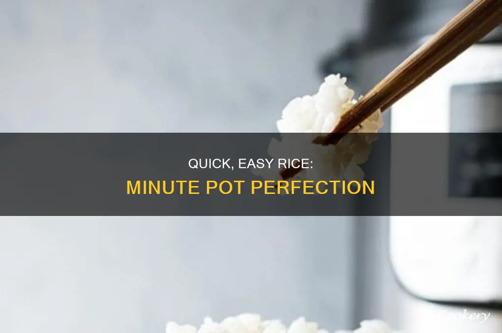 how to cook rice in minute pot