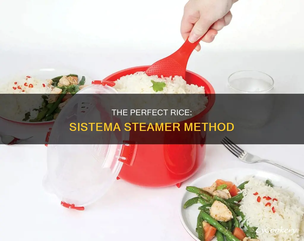 how to cook rice in sistema rice steamer