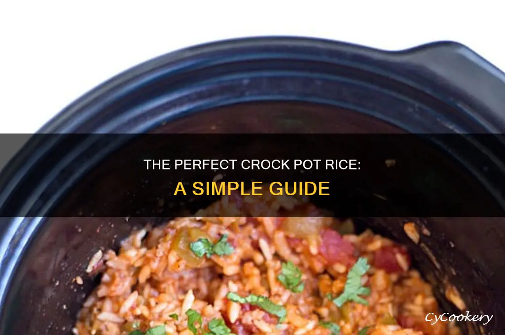 how to cook rice in the crock pot kitchn