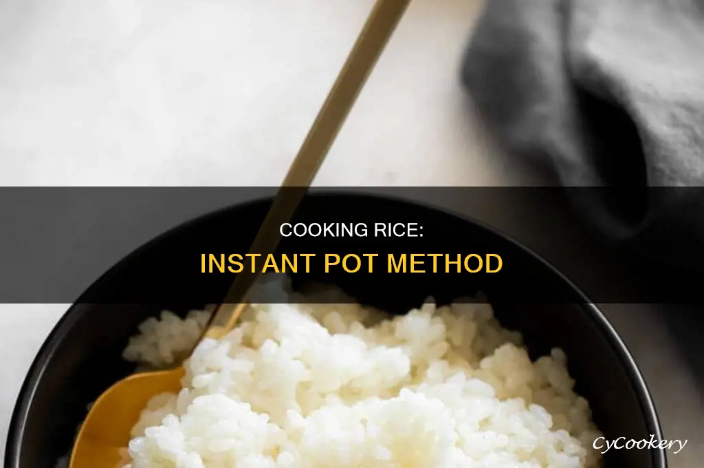 how to cook rice in the instance pot