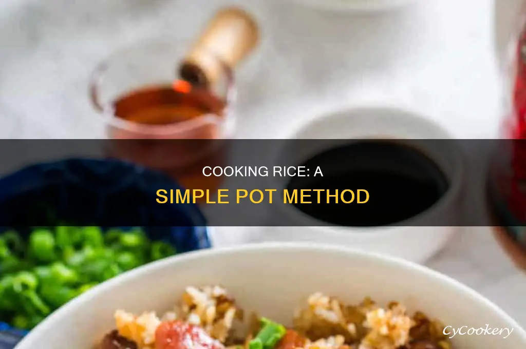 how to cook rice jn a pot