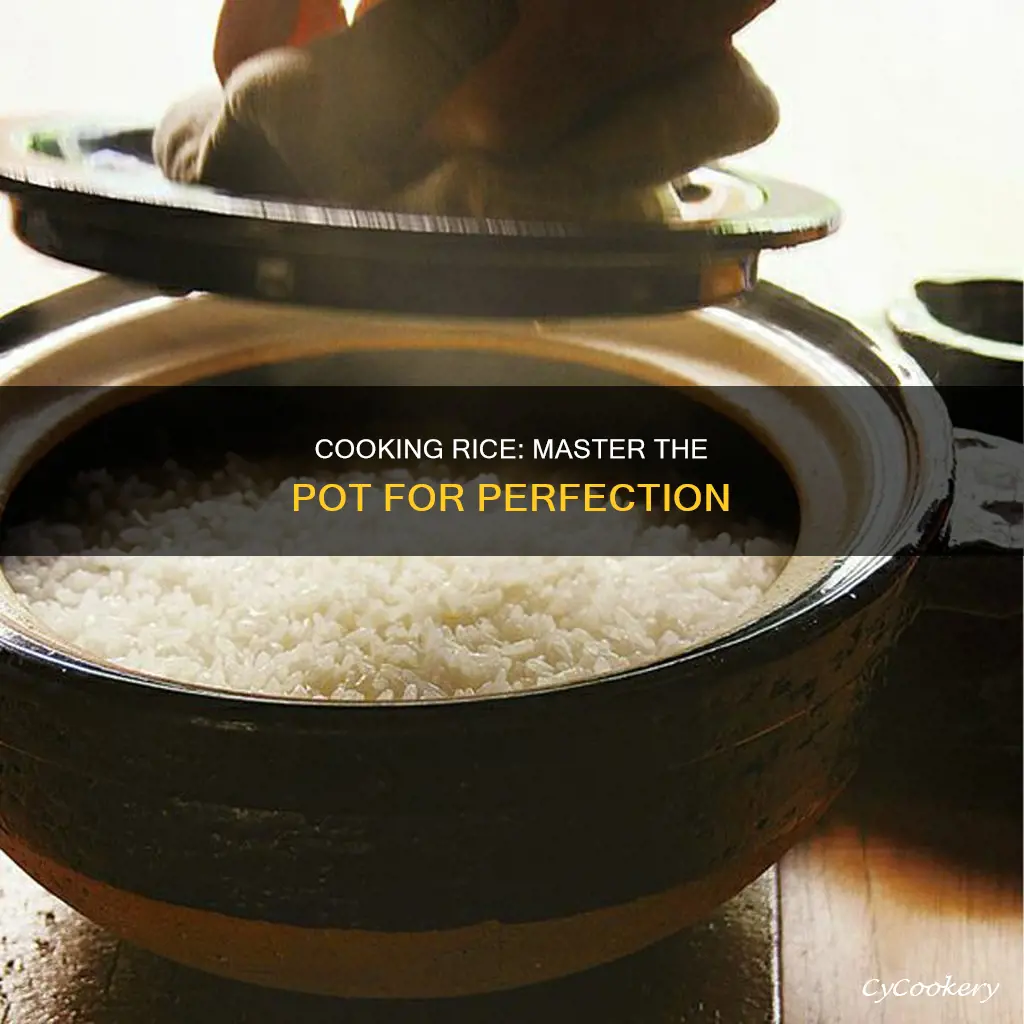 how to cook rice perfectly in a pot