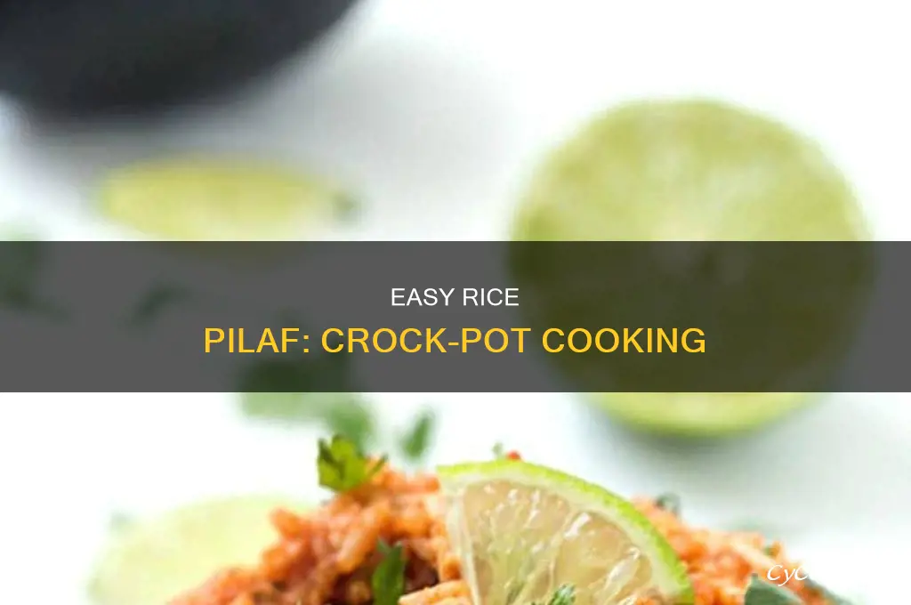 how to cook rice pilaf in a crock pot