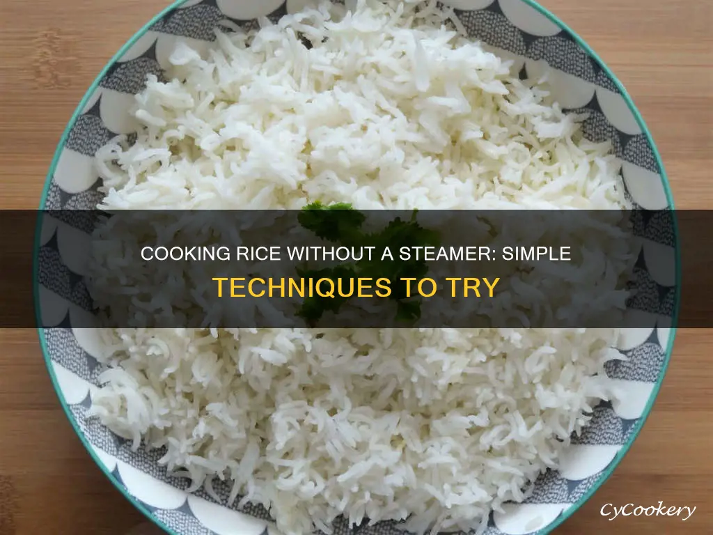 how to cook rice without a steamer