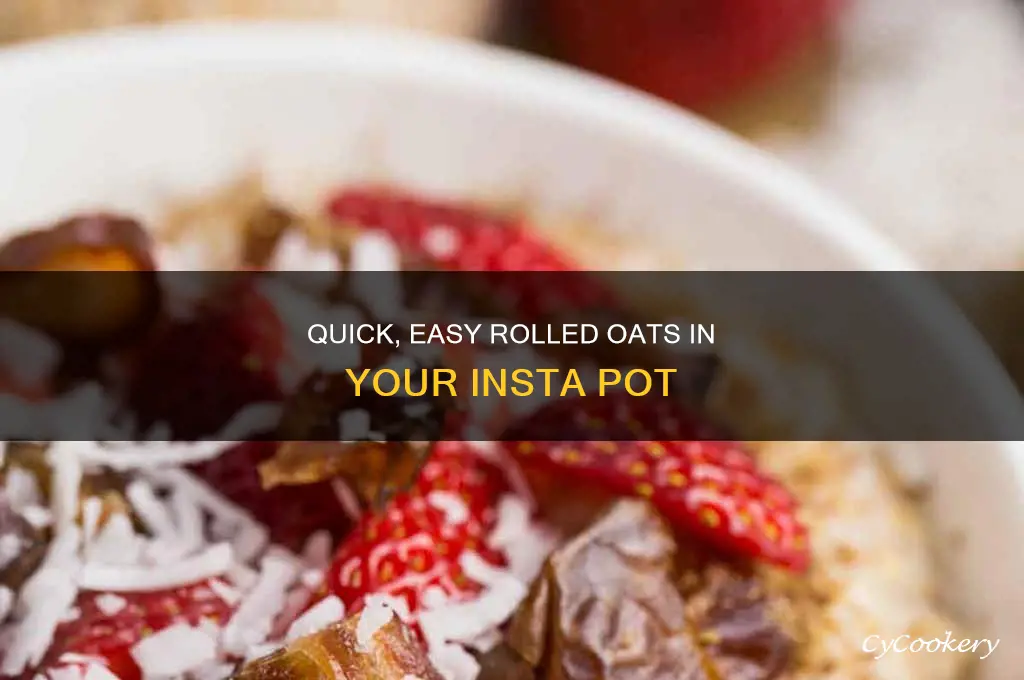 how to cook rolled oats in insta pot