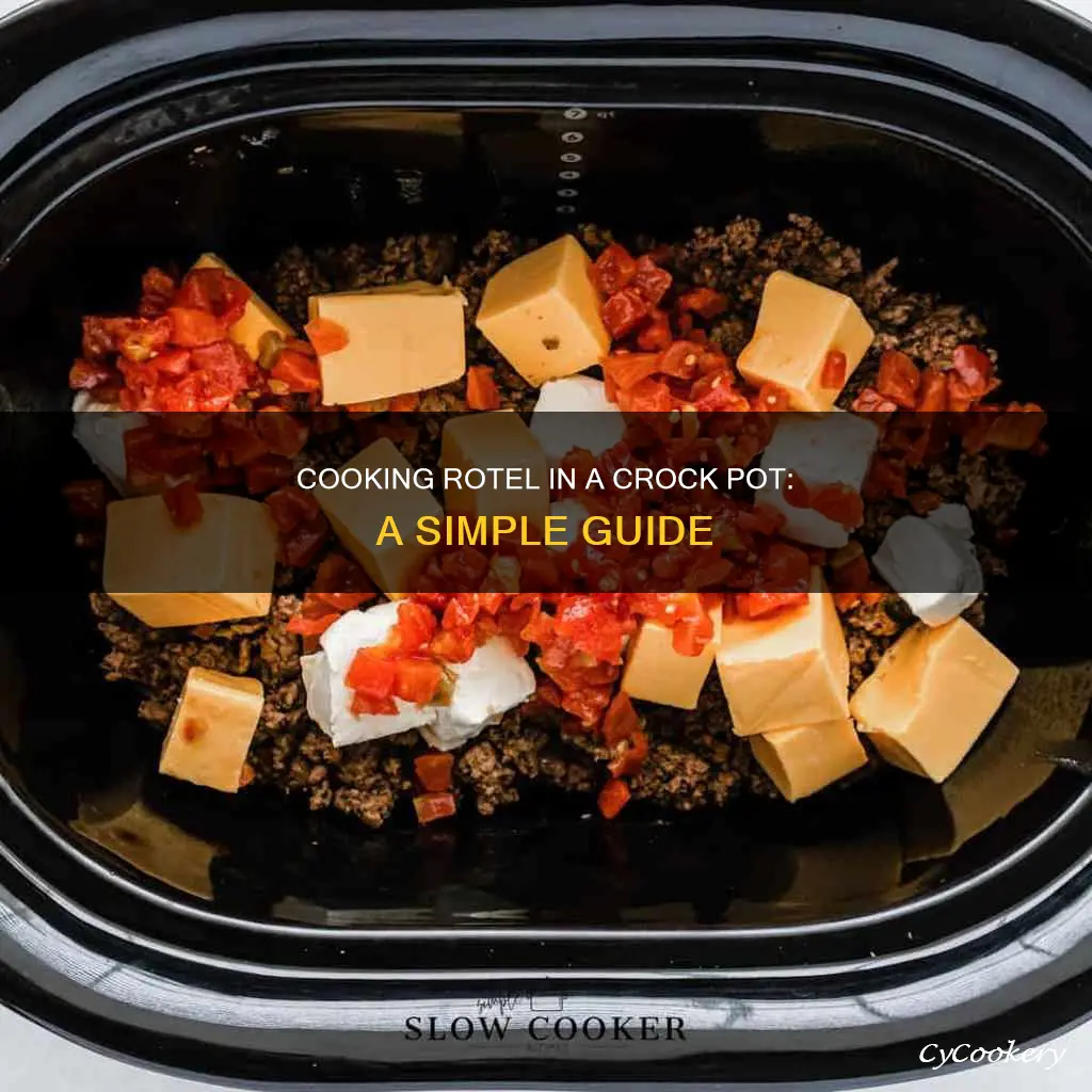 how to cook rotel in a crock pot