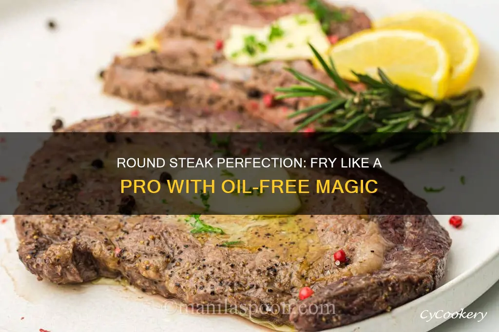 how to cook roundsteak in an oil-less fryer