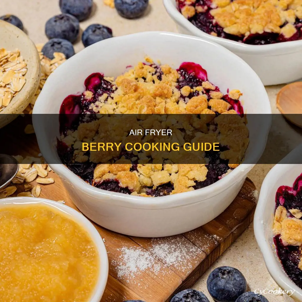 how to cook rries in a power air fryer