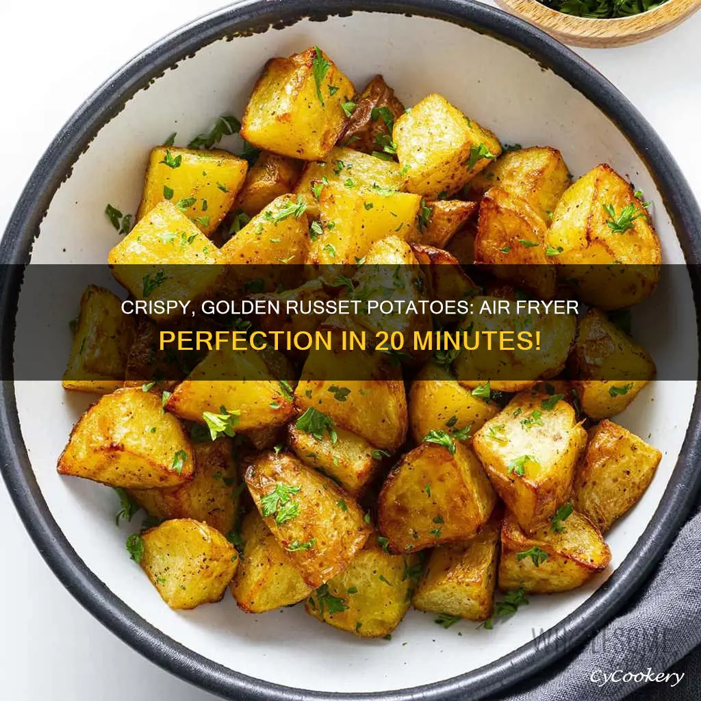 how to cook russet potatoes air fryer