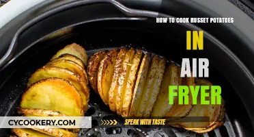 Crispy Potato Perfection: Air Fryer Russet Tips and Tricks