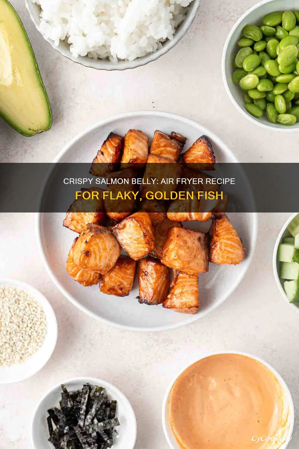 how to cook salmon belly in air fryer