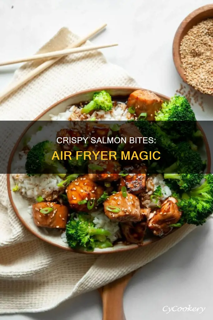 how to cook salmon bites in the air fryer