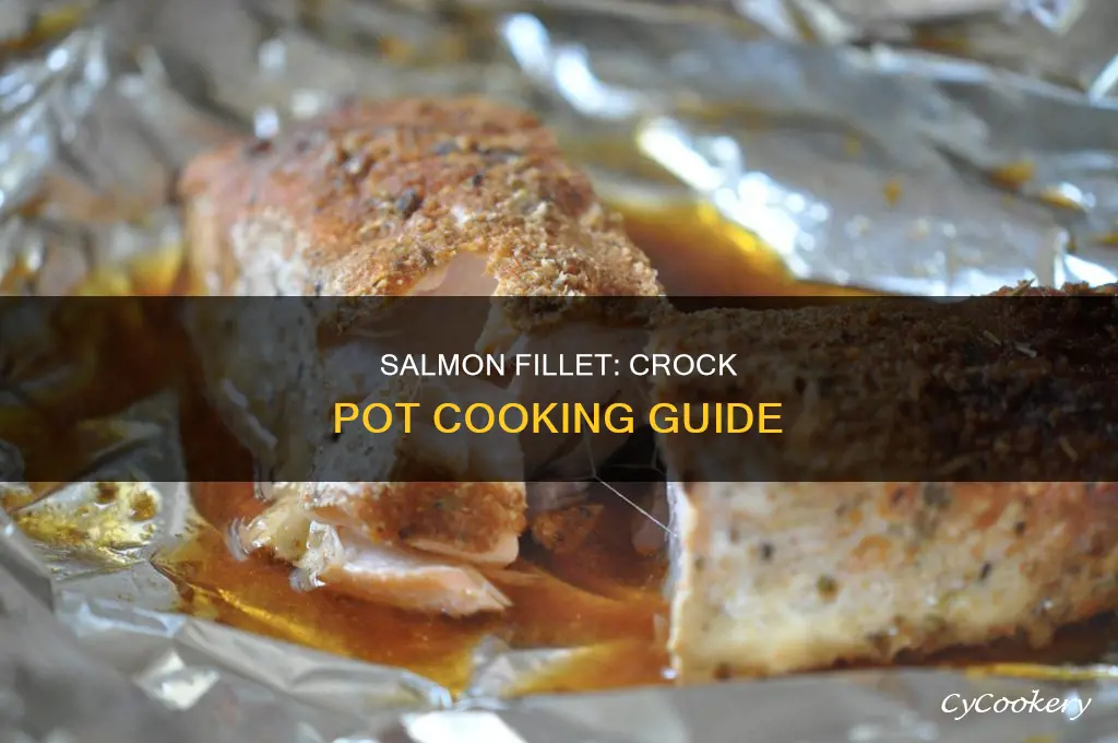 how to cook salmon fillet in crock pot