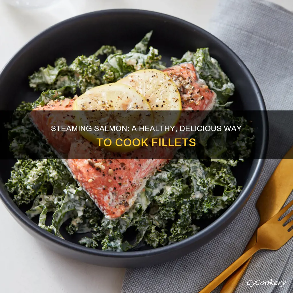 how to cook salmon fillet in steamer