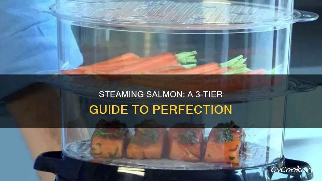 how to cook salmon in a 3 tier steamer