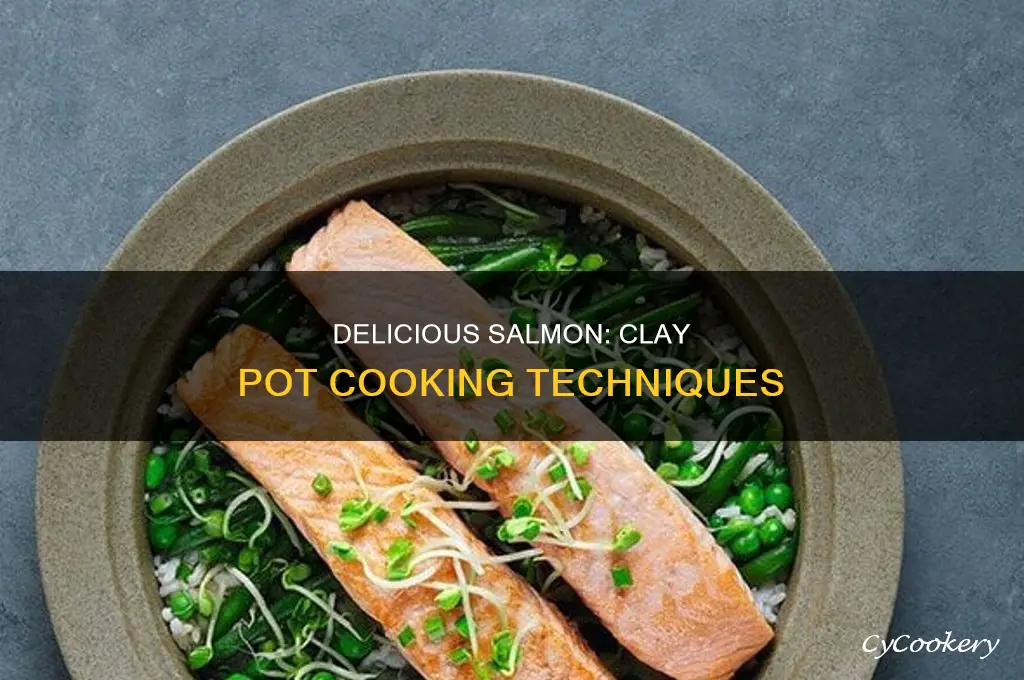 how to cook salmon in a clay pot