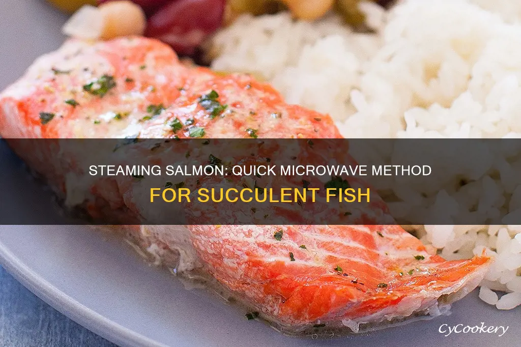 how to cook salmon in a microwave steamer