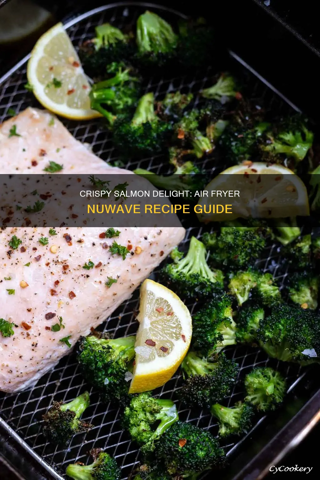 how to cook salmon in a nuwave air fryer