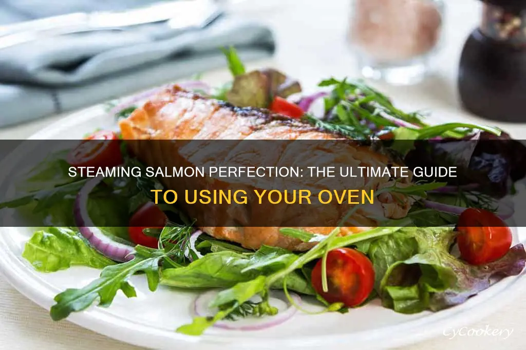 how to cook salmon in a steam oven