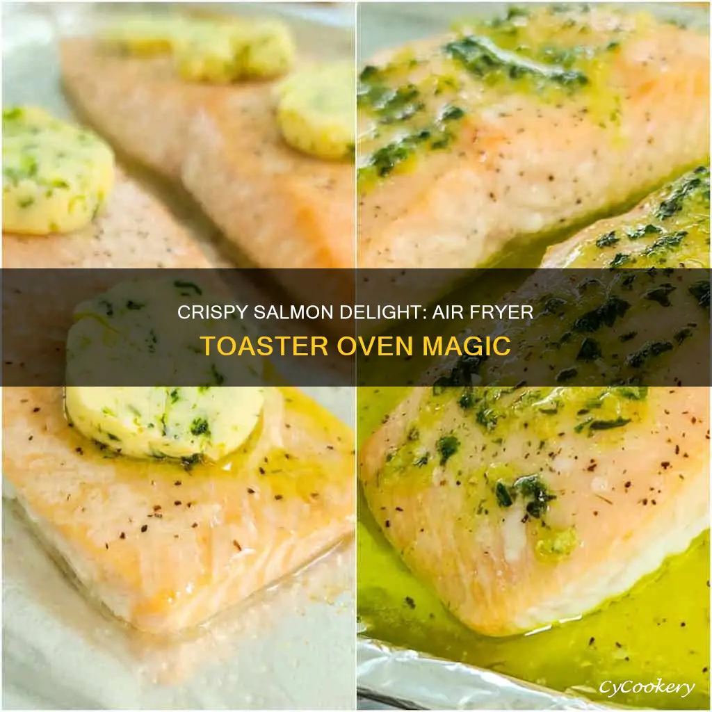 how to cook salmon in air fryer toaster oven