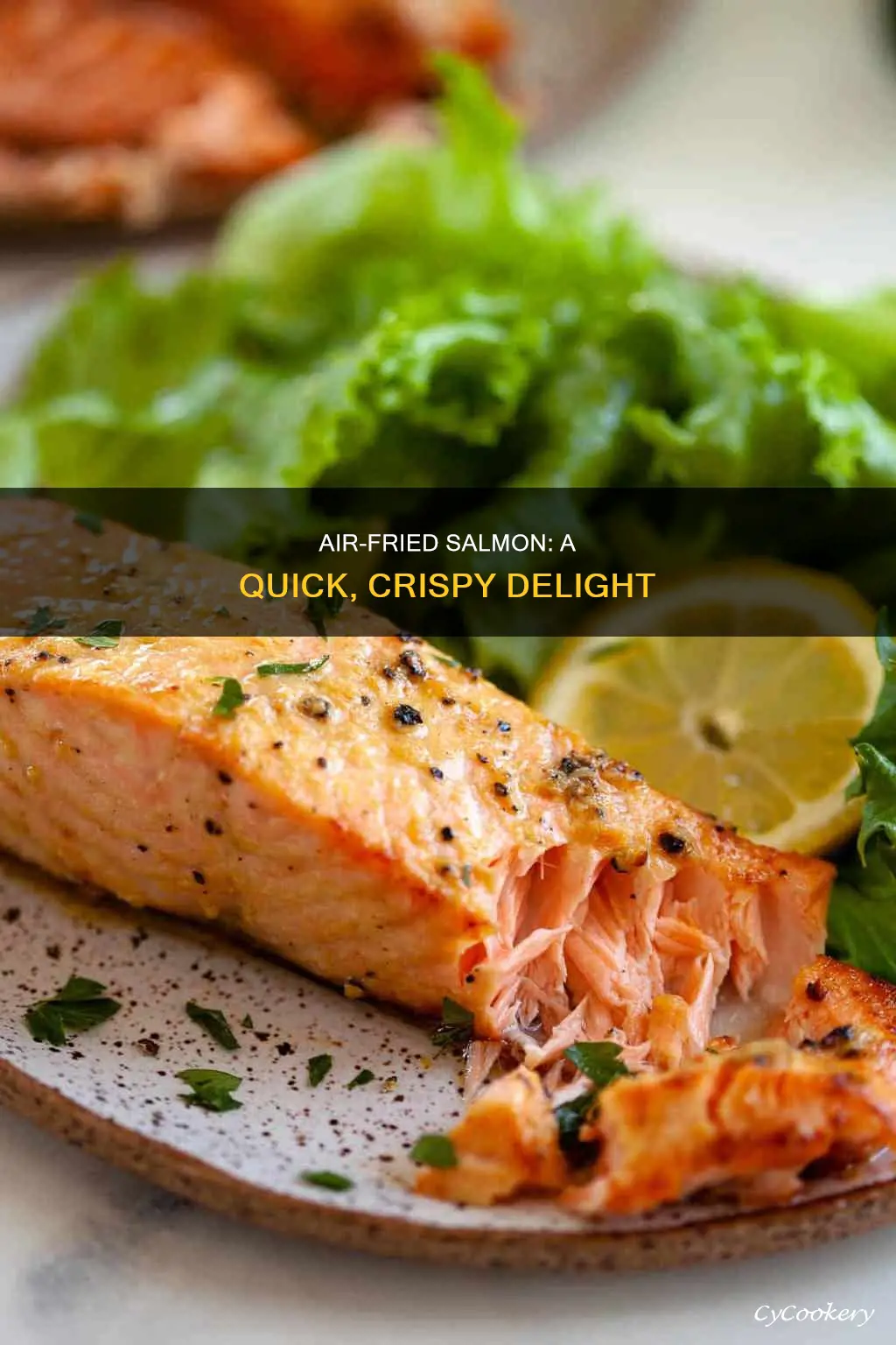 how to cook salmon in air fryer toaster oven