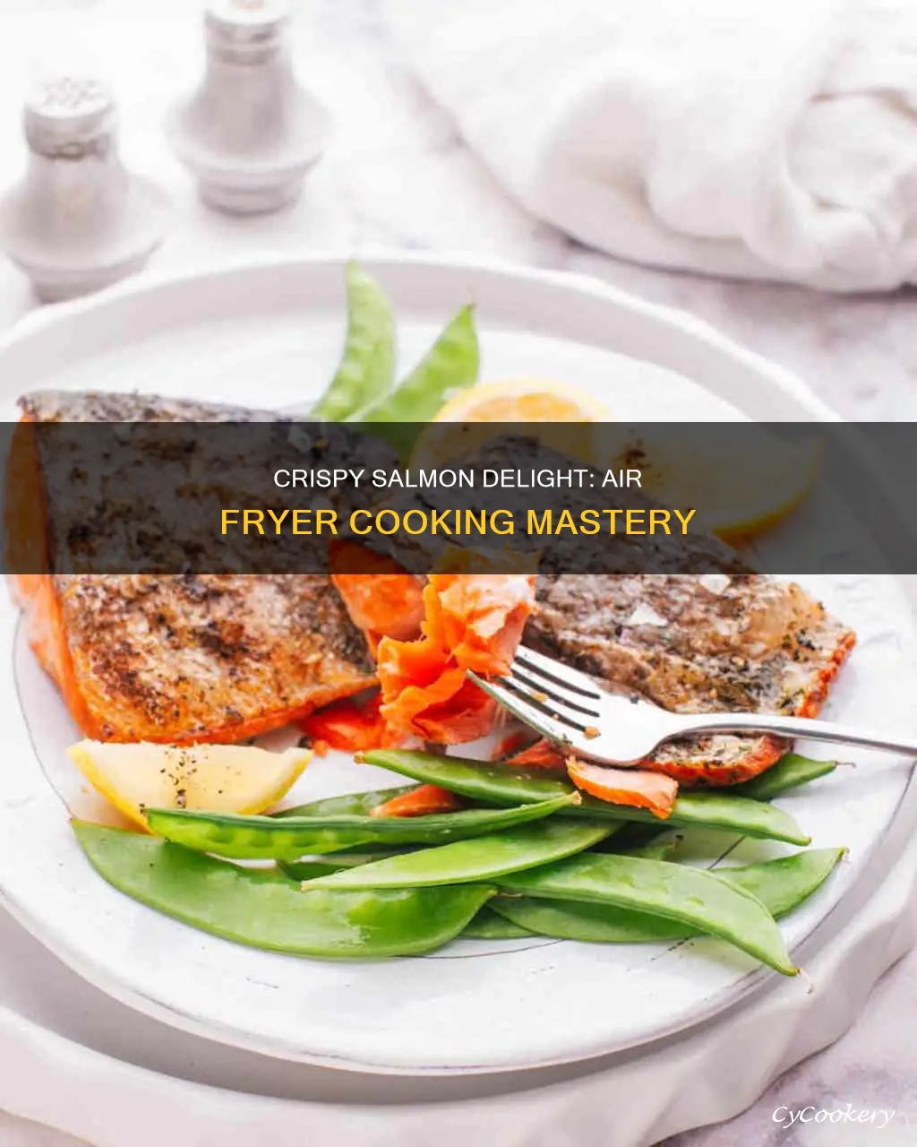 how to cook salmon in aor fryer