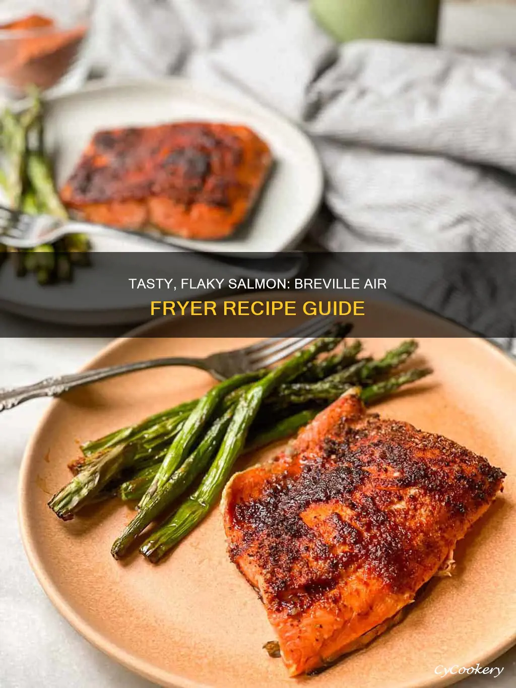 how to cook salmon in breville air fryer