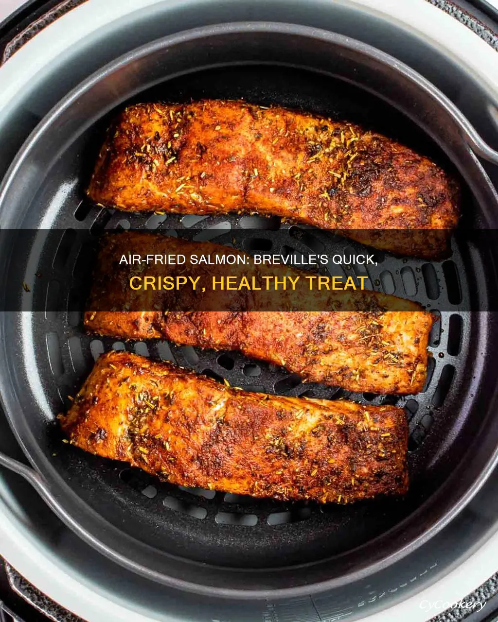 how to cook salmon in breville air fryer