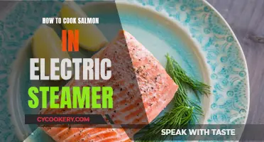 Steaming Salmon: Electric Steamer Techniques for Succulent Results