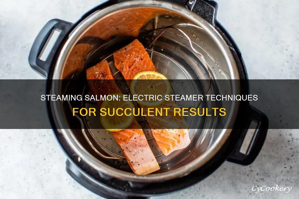 how to cook salmon in electric steamer