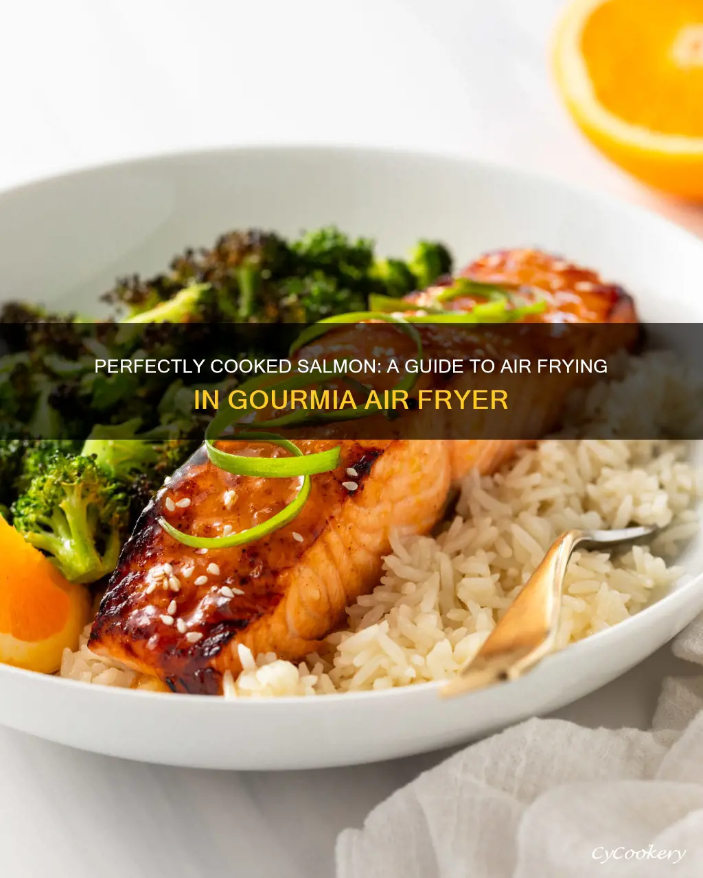 how to cook salmon in gourmia air fryer