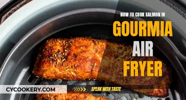 Air-Fried Salmon: Gourmia Style