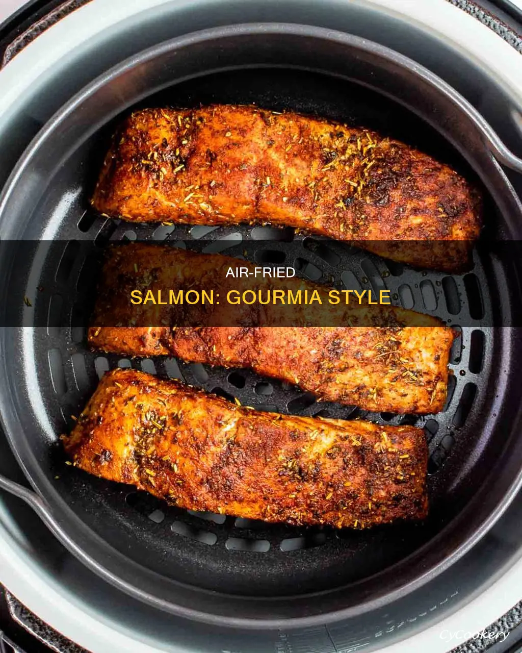 how to cook salmon in gourmia air fryer