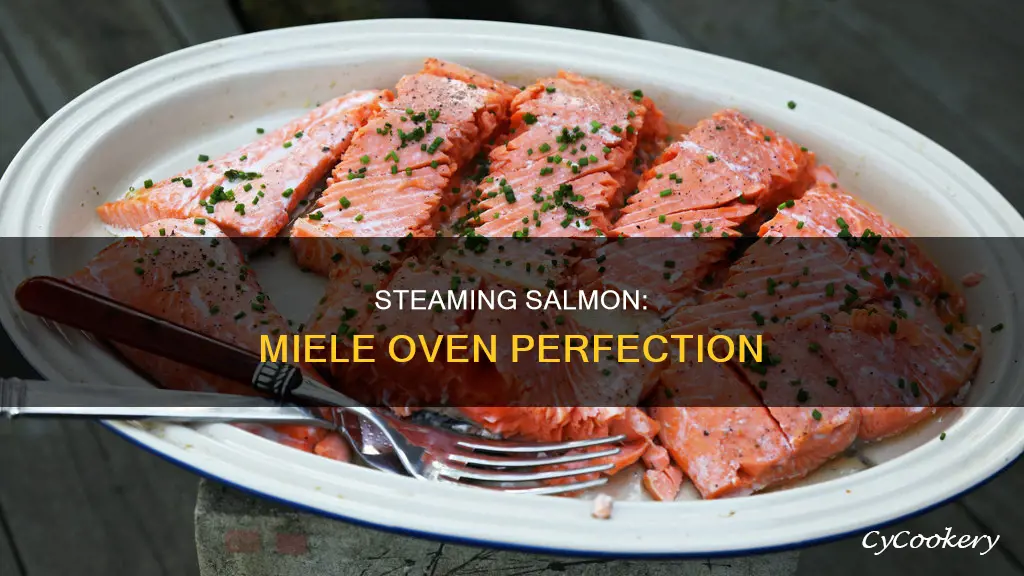 how to cook salmon in miele steam oven