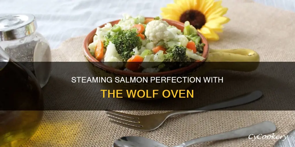 how to cook salmon in wolf steam oven