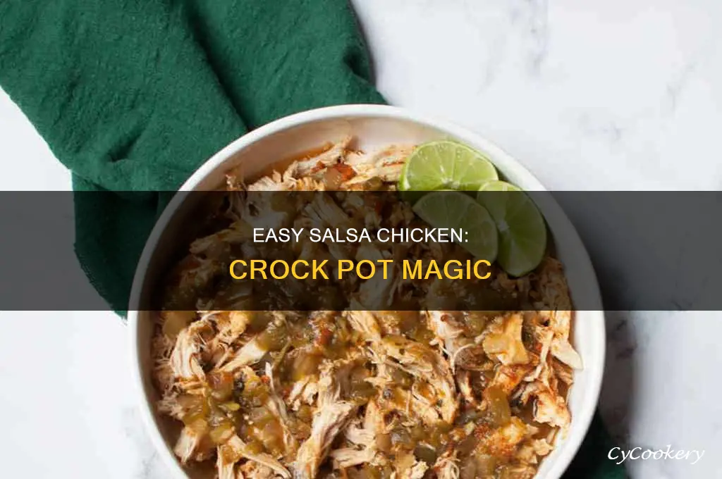 how to cook salsa chicken in a crock pot