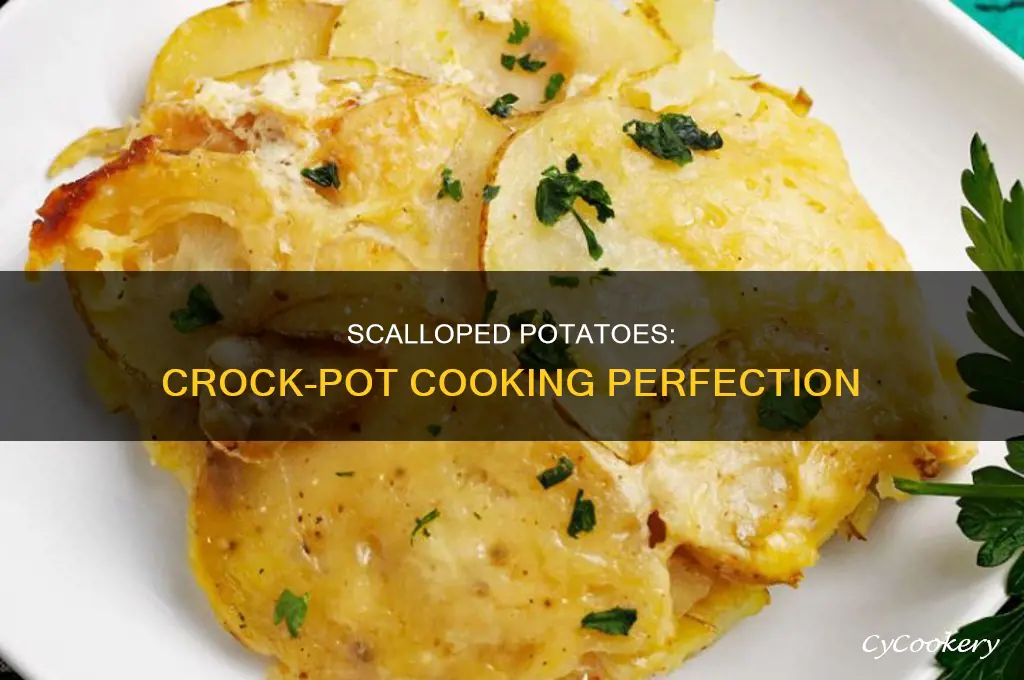how to cook scallop potatoes in a crock pot
