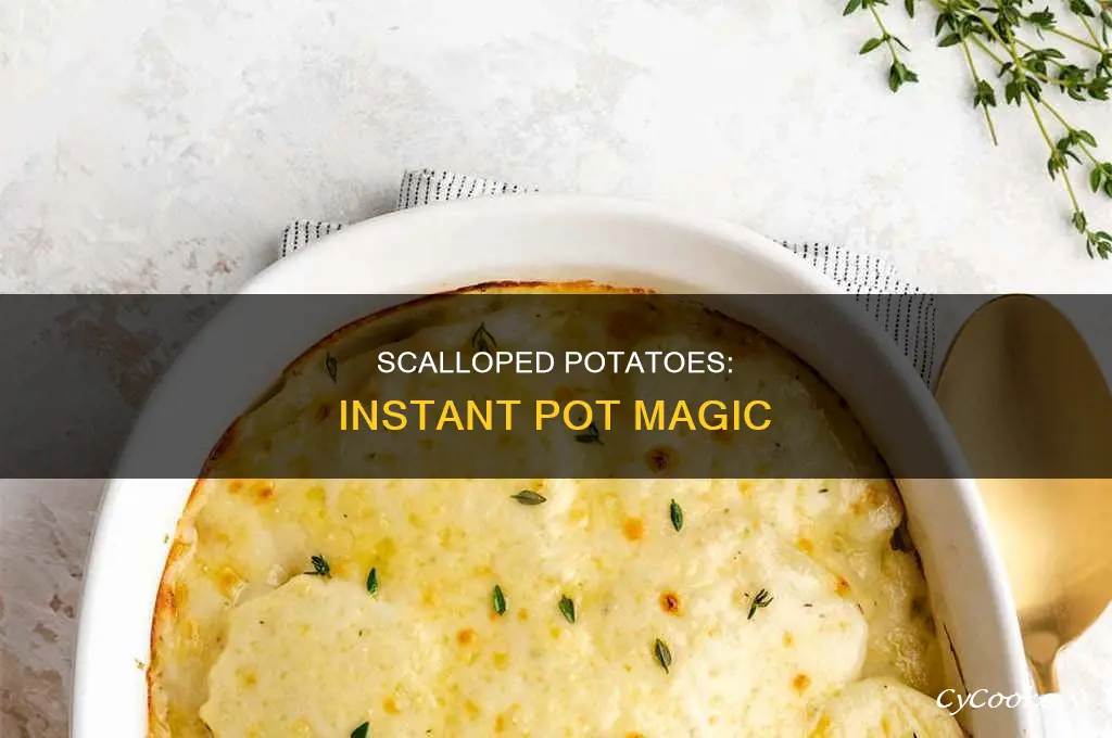 how to cook scalloped potatoes in an istant pot