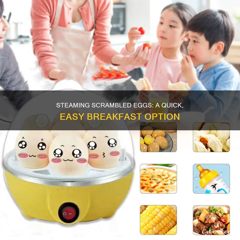 how to cook scramble egg on the steamer