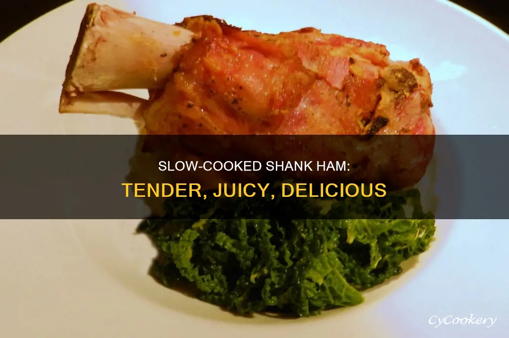 how to cook shank ham in crock pot