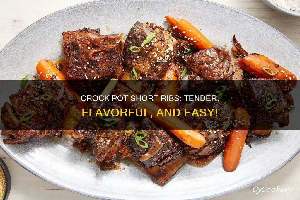 how to cook short ribs in a crock pot