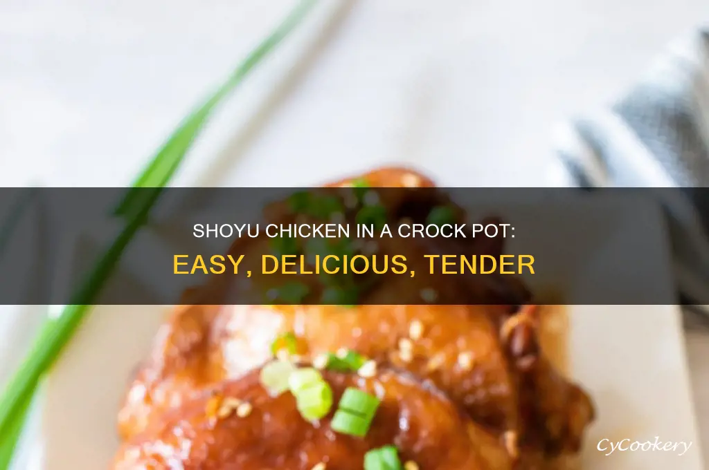 how to cook shoyu chicken in a crock pot