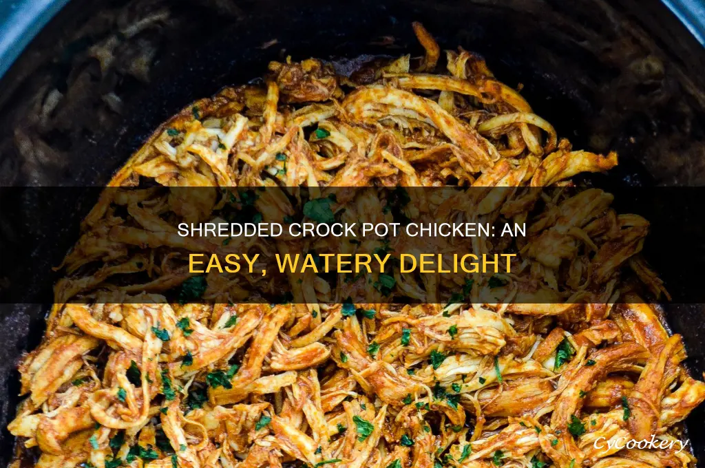 how to cook shredded chicken in crock pot with water