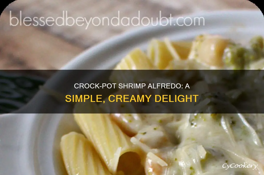 how to cook shrimp alfredo in a crock pot