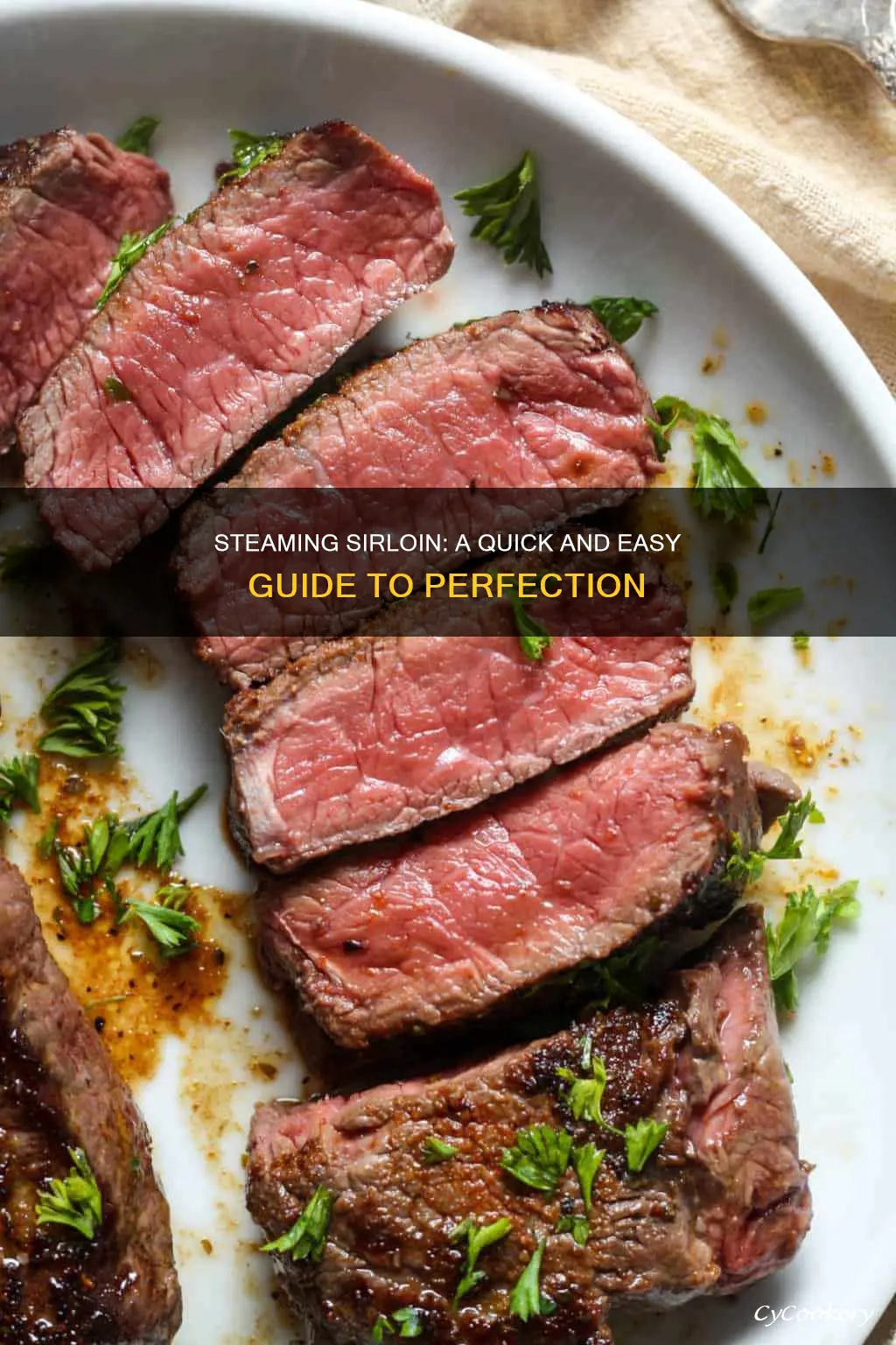 how to cook sirloin steam