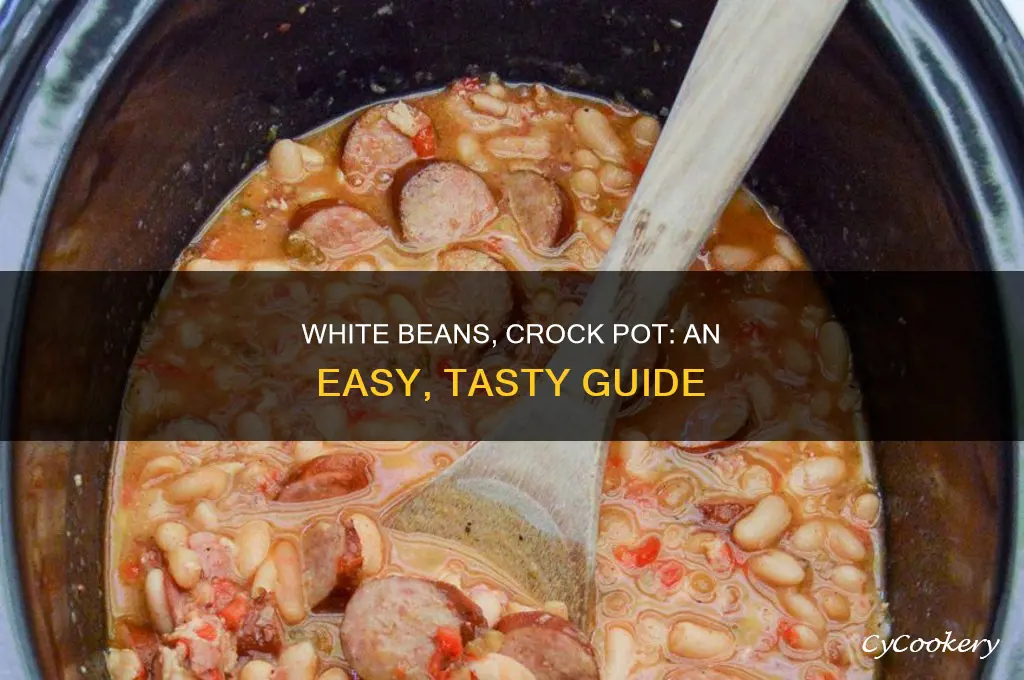how to cook small white beans in a crock pot