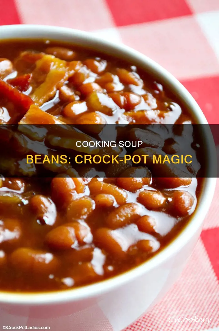 how to cook soup beans in crock pot