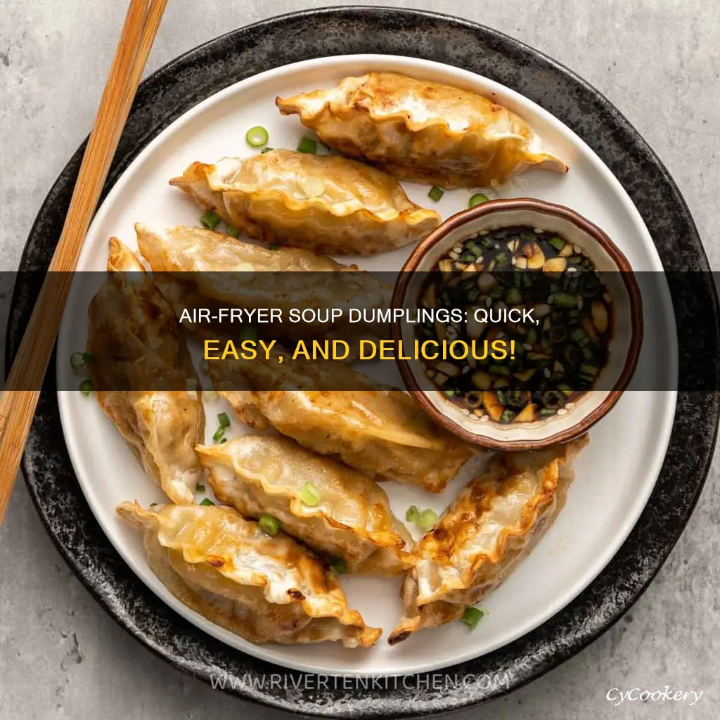 how to cook soup dumplings in air fryer