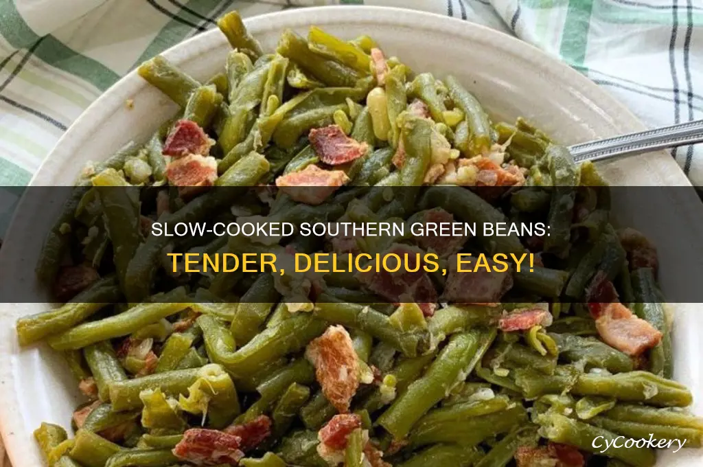 how to cook southern green beans in crock pot