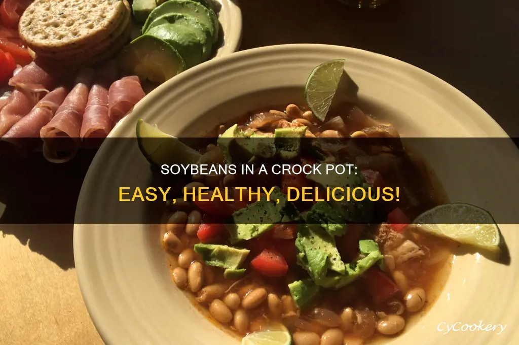 how to cook soybeans in a crock pot